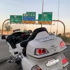 قولد وينق