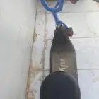اسكوتر نظيف للبيع