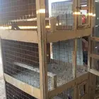 شبك كبير قفص حمام