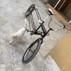 للبيع سيكل طويل ما في شي على السوم