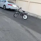 سيكل رمبو اصلي اندنوسي لون زيتي