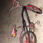 سيكل كوبرا مقاس 20