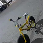 سيكل كوبرا