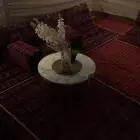 خيمه جديده للاجار بالساعه في إستاد الملك وفهد وأسعار خياليه