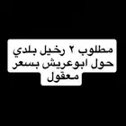 مطلوب 2 رخيل مزينه