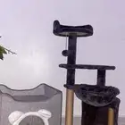 بيت قطط للبيع