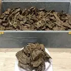 عود ازرق الثمن ب200  والأوقية ب80