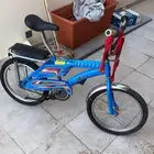 رامبو اندنوسي