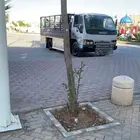 دنه للنقل دينه دينا