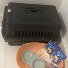 اغراض قطط للبيع