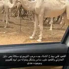 قعود لقي كفو