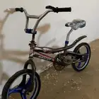 كوبرا