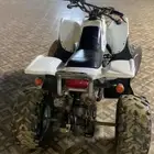دباب