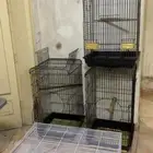 أقفاص طيور كبيرة