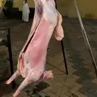 معلم مشاوي مشويات شوي