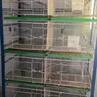 للبيع 3 استانات حق طيور