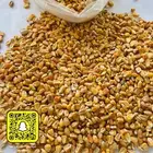 ذرة مجروشة وحب دار العلف