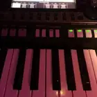 اورج 3000ياماها