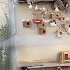 يمام ياكريم