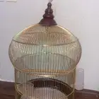 قفص طير