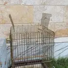 قفص للبيع