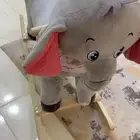 السوم لاعلى حد لايجي إلا الصامل