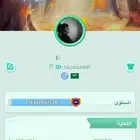 حساب لودو للبيع