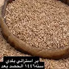 حب بر تنومه