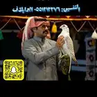 صقور لتصوير جميع المناطق