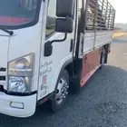 دينا ايسوزو