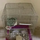 شبوك طيور