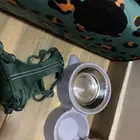 اغراض قطط للبيع مستعجل