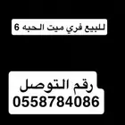 الموقع رفحاء