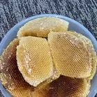 للبيع عسل سدر ناقي