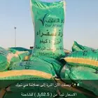 ذرة مجروشة في تبوك