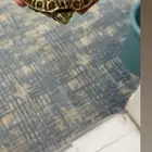 سلحفاه أليفه الحجم وسط السعر ميه ريال