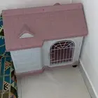 بيت قفص قطط