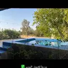 مزرعة يومي