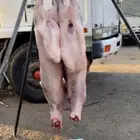 معلم مشاوي مشويات شوي