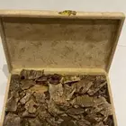 عود كينام طبيعي