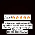 ابل جمله مجاهيم