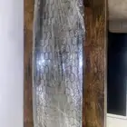 شبك فورد بوليسي جديد