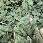 كلمنتان
