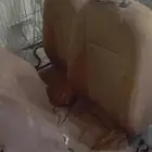 مراتب جنسس وكاله مديل 2014