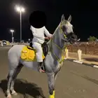 حصان