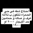 احتاج شقه حي الحمراء