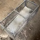 شبك
