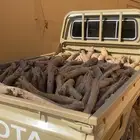 للبيع شاص على السوم