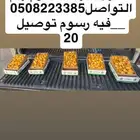 رطب للبيع خريف اليوم حق الخرج