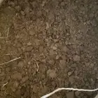 اكياس دمن صافي